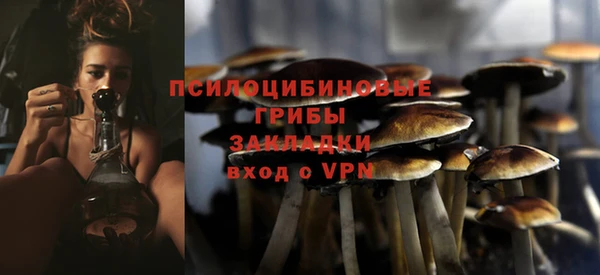 марки lsd Белокуриха