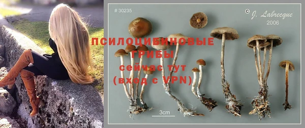 марки lsd Белокуриха